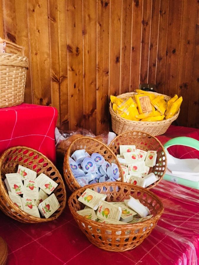 Hotel Primavera Desenzano del Garda Zewnętrze zdjęcie